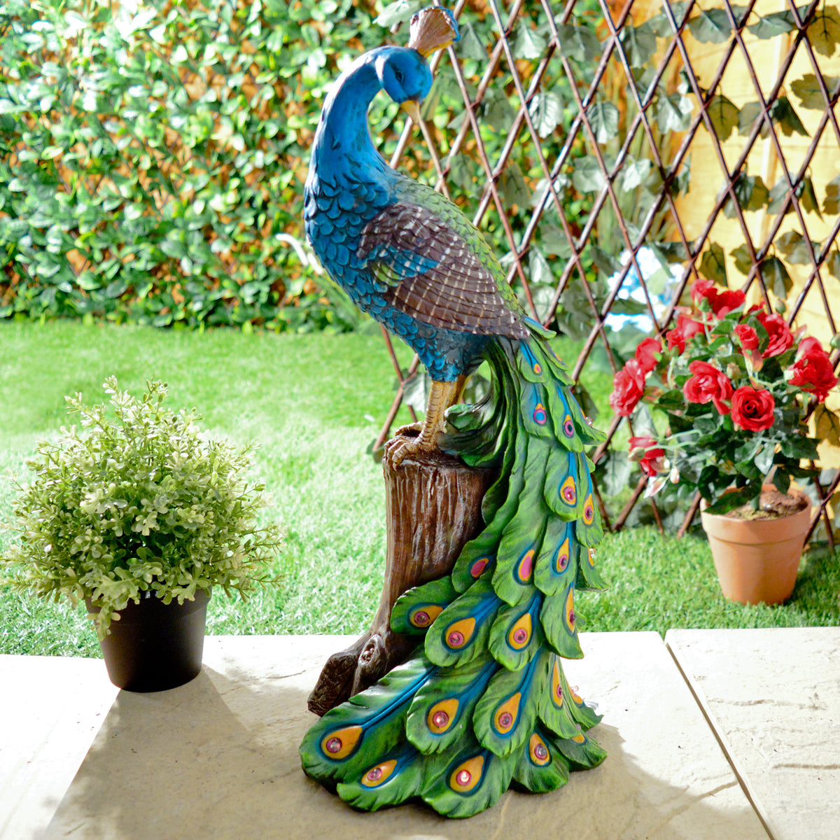 Avilo Solar Peacock – Eye-Catching Garden Light by Day and Night