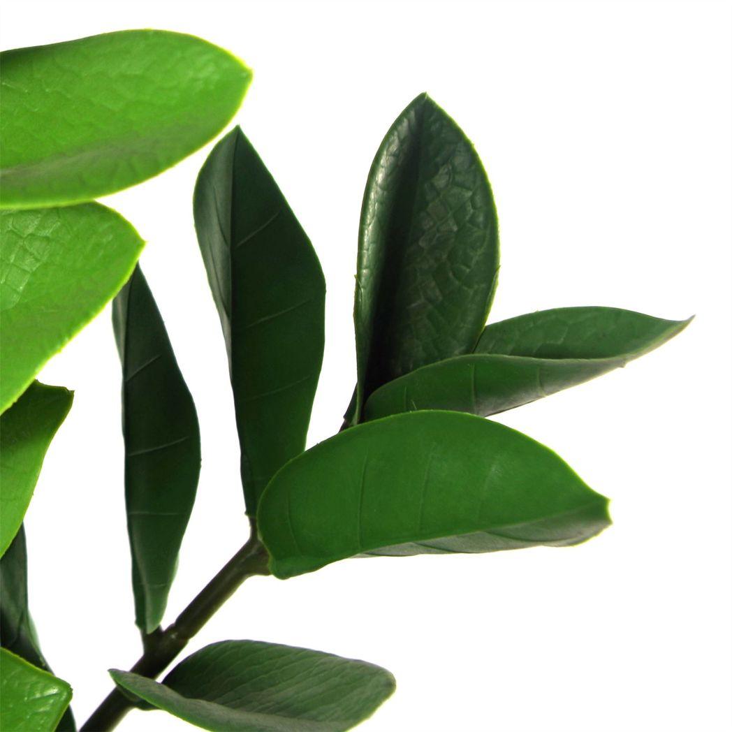 75cm Artificial Zanzibar Green Gem Zamioculcas Succulent Indoor Plant
