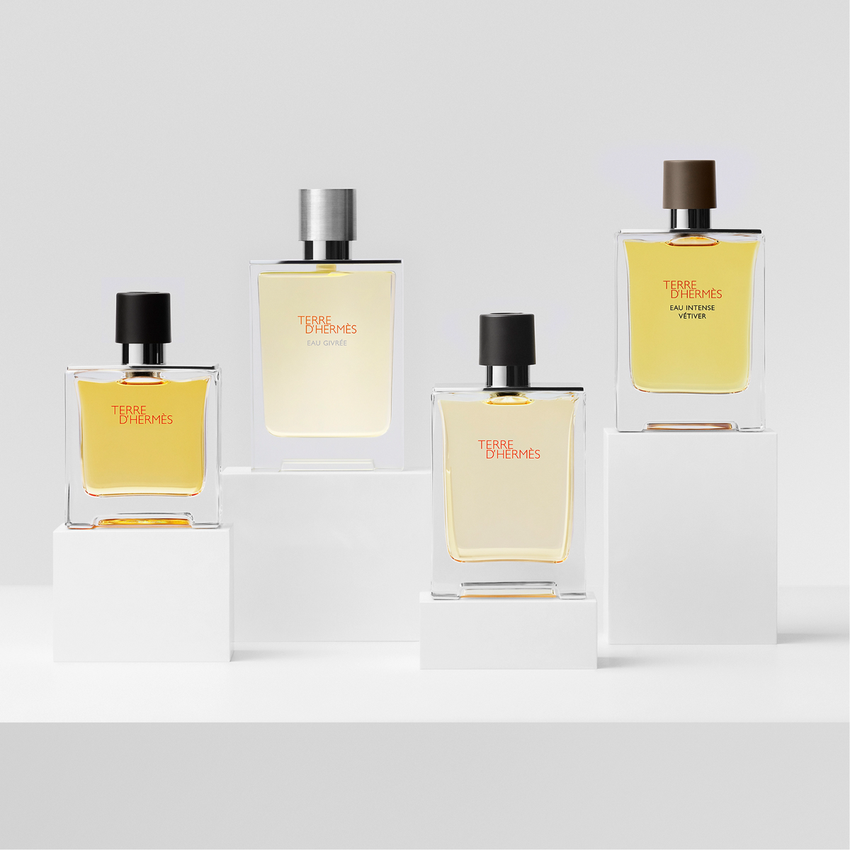 Hermes Terre D'hermes Eau de Toilette Spray 100ml – Woody, Spicy Fragrance for Men