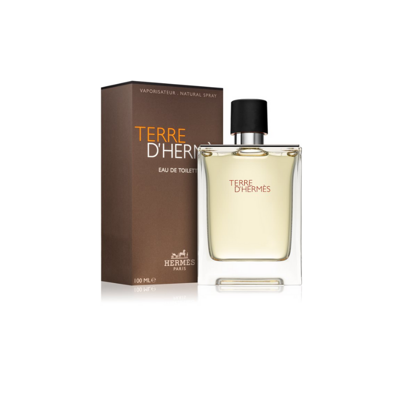 Hermes Terre D'hermes Eau de Toilette Spray 100ml – Woody, Spicy Fragrance for Men