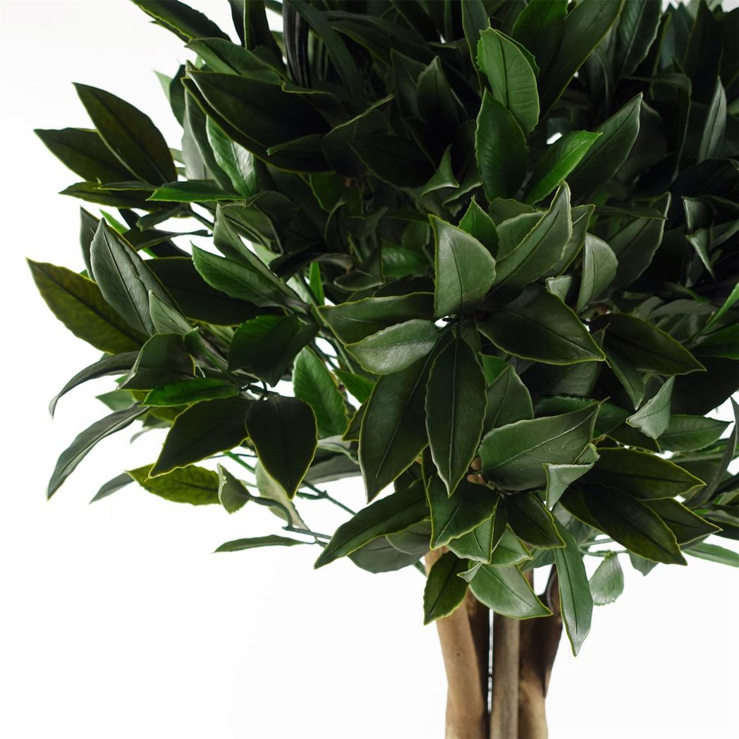 Botanik Artificial Bay Tree Laurel with Natural Wood Trunk, 120cm – UV Resistant Outdoor Topiary