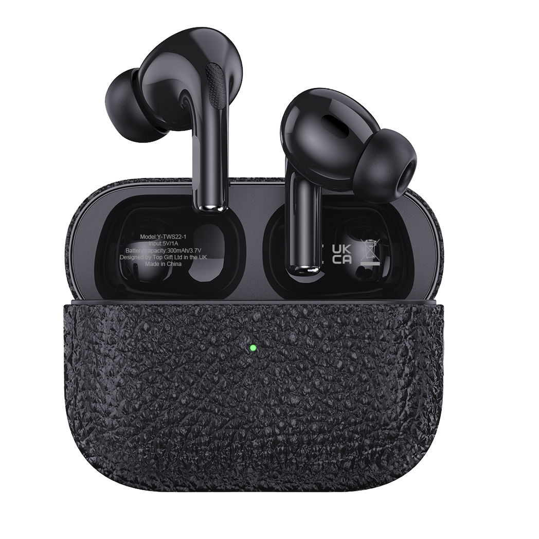 WYEWAVE Wireless Earbuds with Active Noise Cancelling, Bluetooth 5.3 – 20-Hour Charging Case, Black