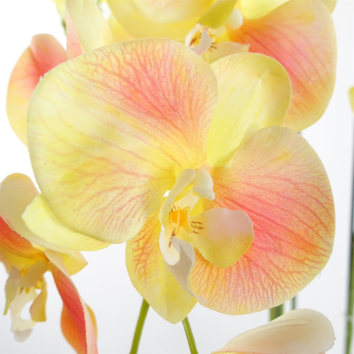 Leaf 110cm Large Artificial Yellow Peach Orchid with 41 Real Touch Flowers – Wired Stems, Weighted Pot