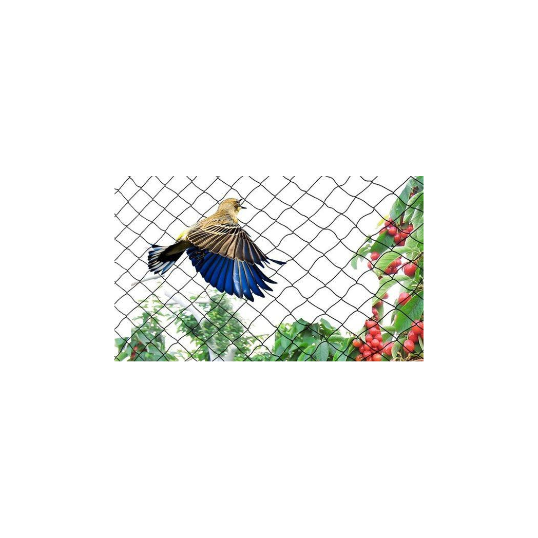 Garden Habitats Anti-Bird Garden Netting, 2m x 10m Rolls, Pack of 10 – Fine Mesh Plant, Pond & Crop Protection