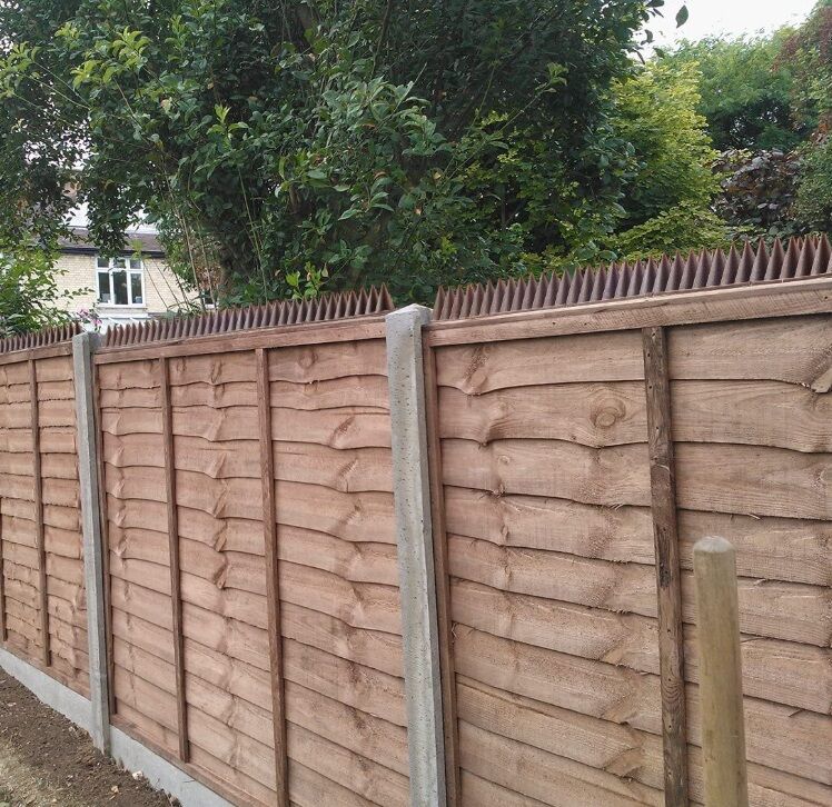 Avilo Security Spikes – Deter Cats, Birds and Unwanted Visitors, Brown