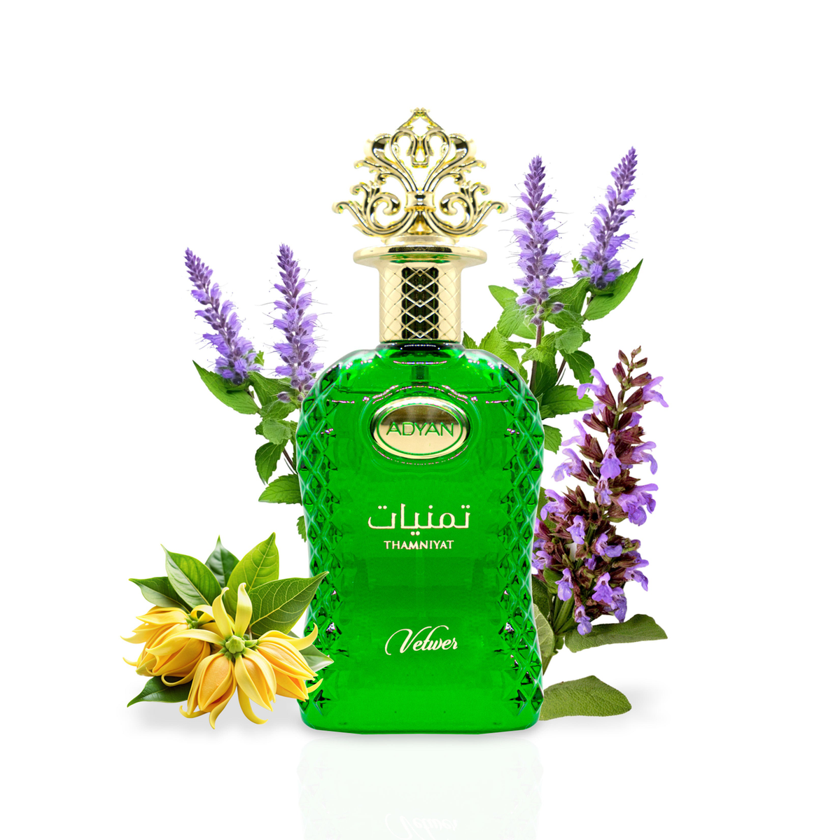Thamniyat Vetiver Eau de Parfum 100ml – Floral, Musky Fragrance, Unisex