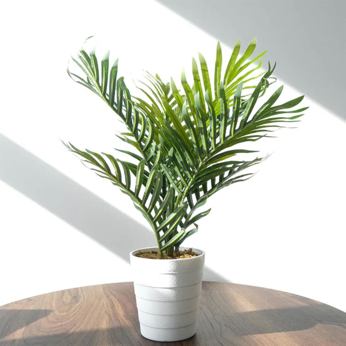 Leaf Pack of 6 Artificial Mini Palm Trees, 50cm – Realistic Potted Faux Plants for Desks & Shelves