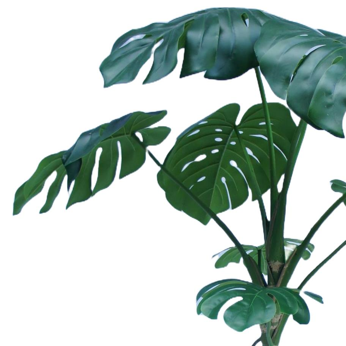 Leaf 180cm Realistic Artificial Monstera Tree in Black Pot – Large Faux Swiss Cheese Plant, Green