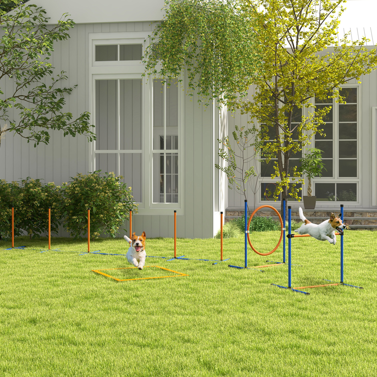 PawHut 4 Piece Dog Agility Training Set with Weave Poles, Pause Box, Hurdle, Jumping Ring & Carry Bag – Outdoor Games
