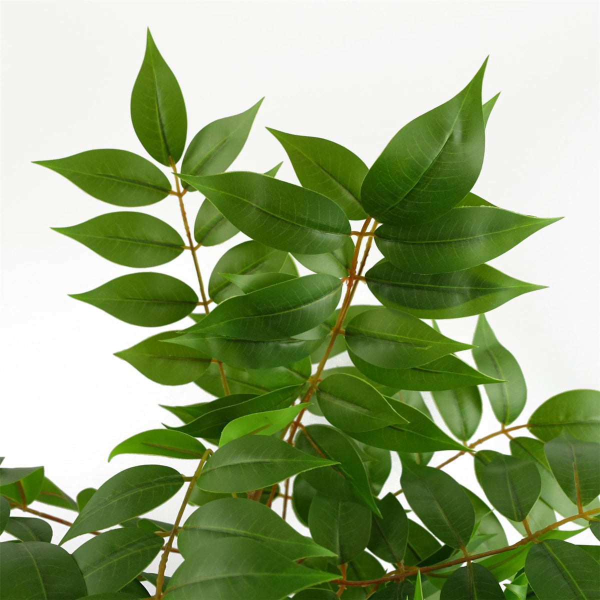 Leaf 110cm Artificial Toona Sinensis Tree – Evergreen Realistic Indoor Plant in Weighted Pot