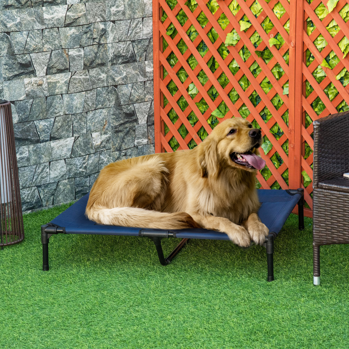 Pawhut Raised Pet Bed with Waterproof Oxford Fabric & Anti-Slip Mat – Portable Dog Cat Camping Cot