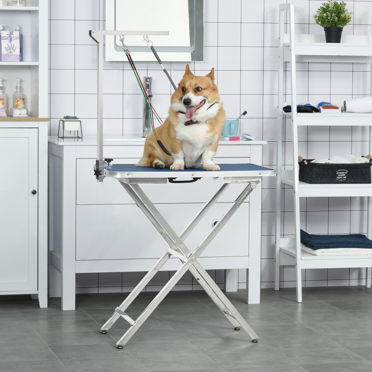 Adjustable Foldable Pet Grooming Arm with Clamp – Stainless Steel Dog Grooming Holder for Medium Dogs
