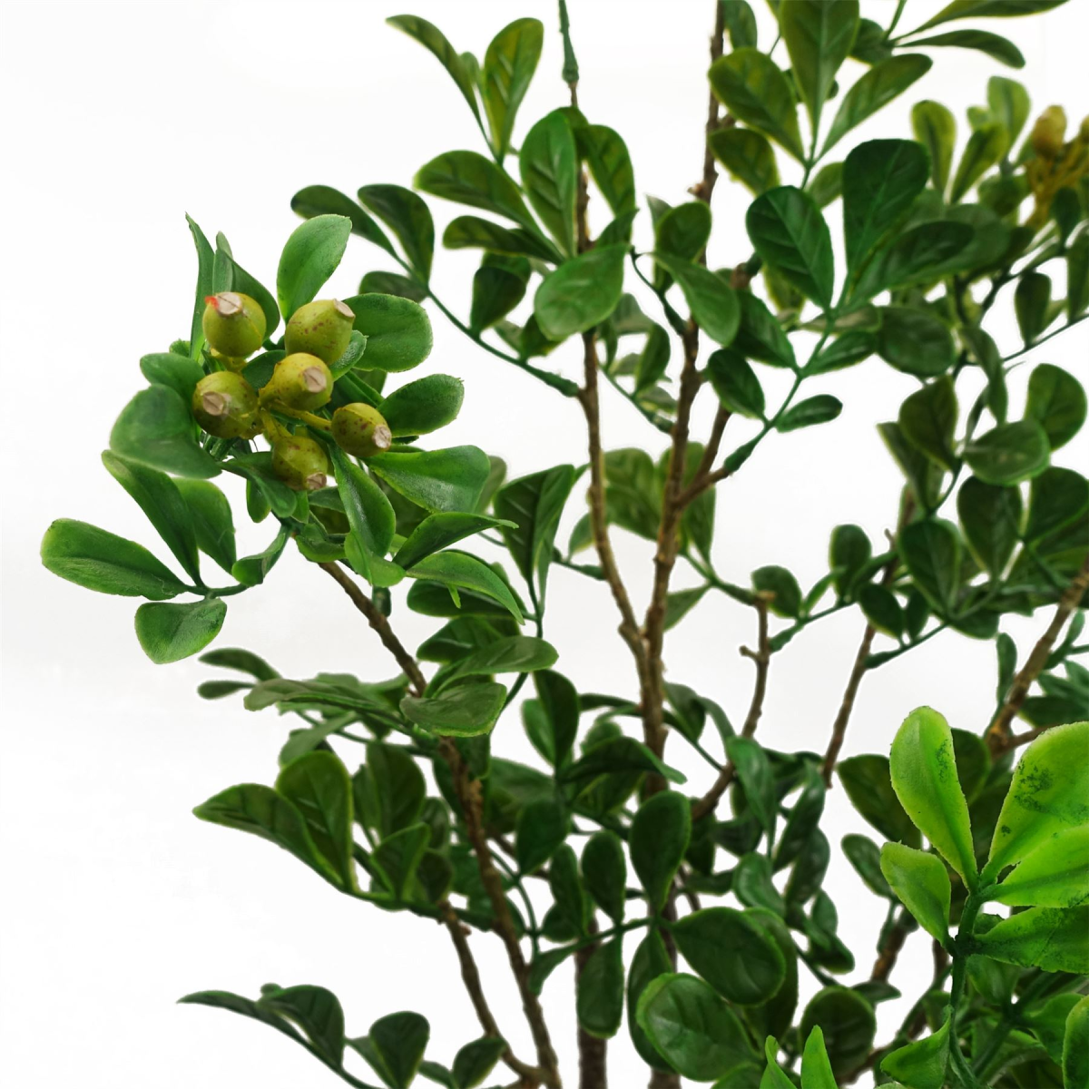 Leaf 60cm Artificial Aglaia Odorata Bonsai Ficus Tree in Pot – Shapeable Wired Branches