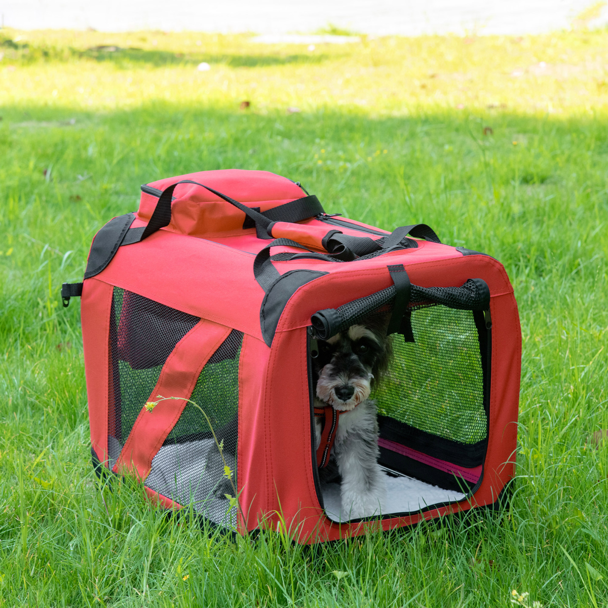 Pawhut Folding Soft Pet Carrier, 60 x 42 x 42cm – Portable Travel Bag with Fleece Bed for Small Dogs and Cats, Red