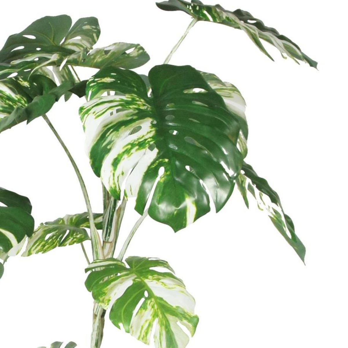 210cm Artificial Variegated Monstera Plant – Realistic XXL Faux Tree for Home and Office