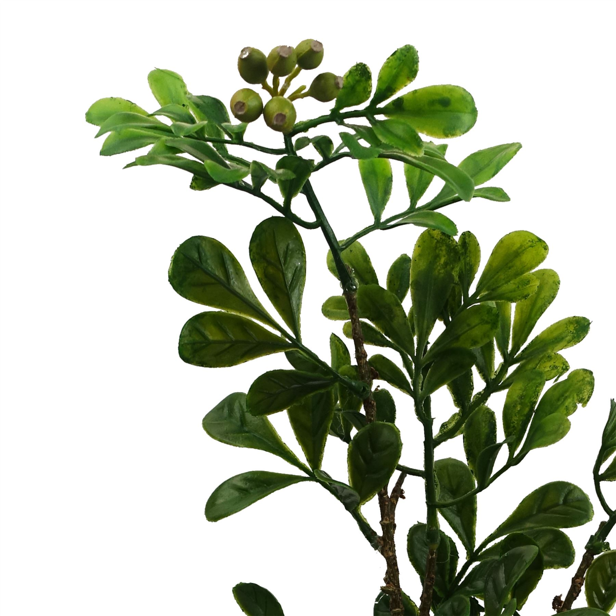 Leaf 45cm Artificial Aglaia Odorata Bonsai Ficus Tree with Decorative Gravel Pot – Wired Stems for Home & Office