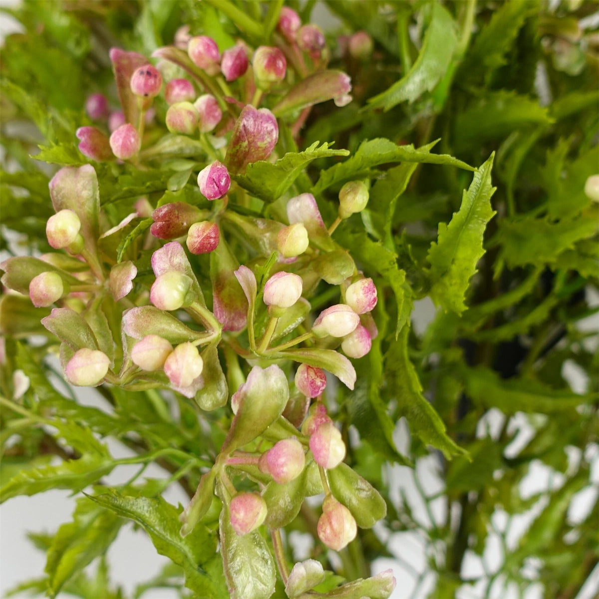 Leaf 55cm Artificial Foliage Stem with Pink Berries – Realistic Plastic Flowers and Leaves, Shapable Stem