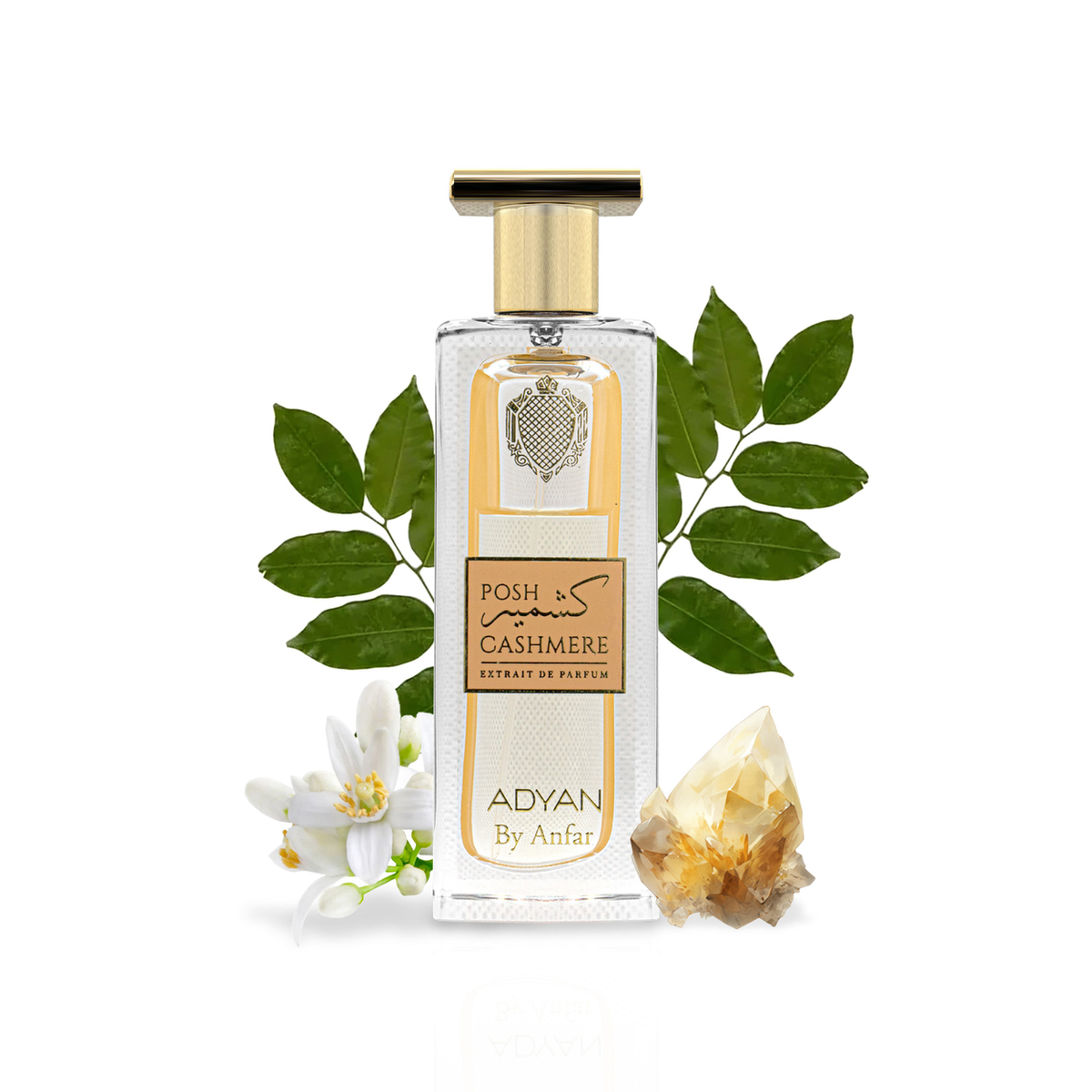 POSH CASHMERE by Adyan 100ml – Citrus, Exotic Fruit, Floral & Sandalwood Fragrance