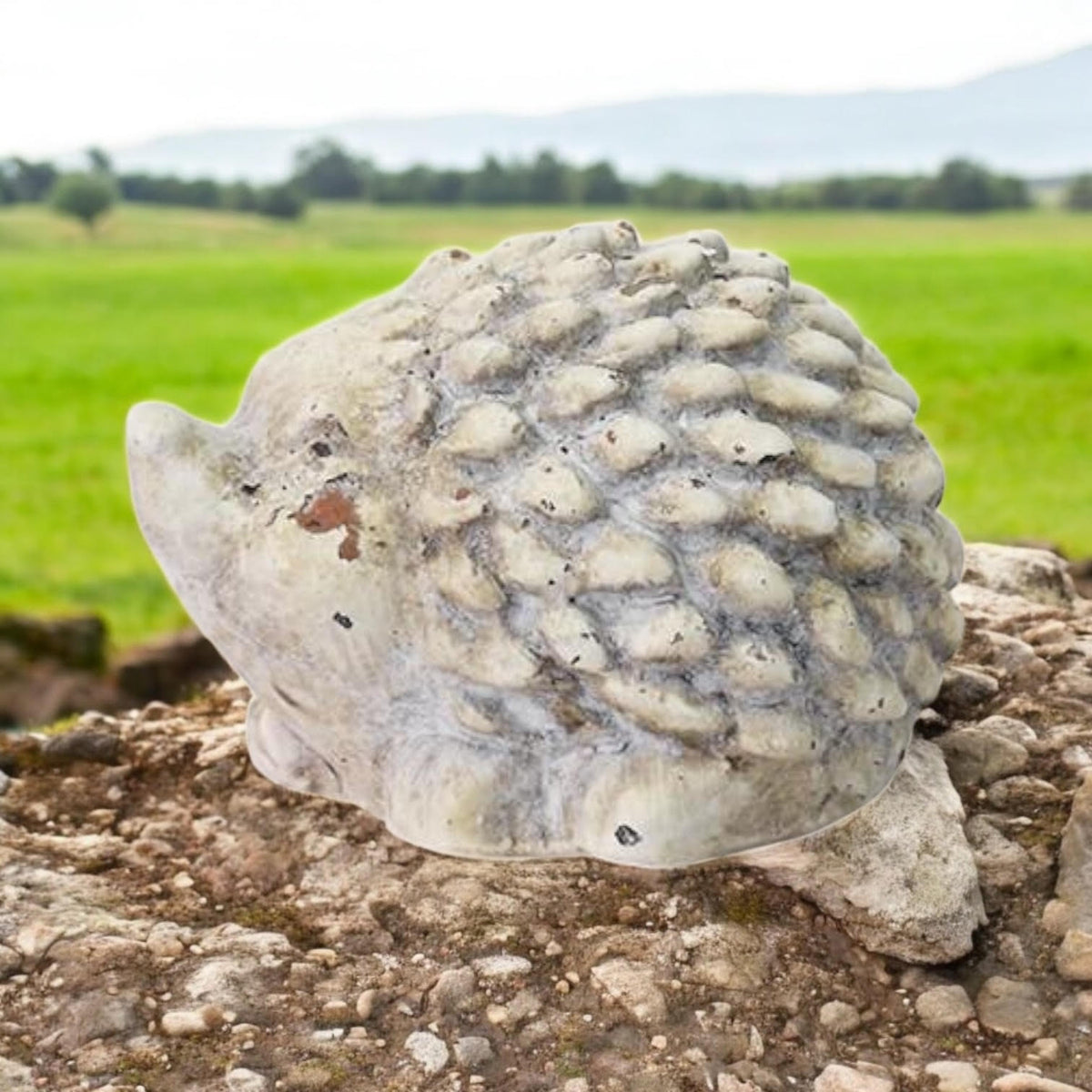 Stone-Look Cement Hedgehog Garden Sculpture – Frostproof Weatherproof Ornament for Indoor & Outdoor