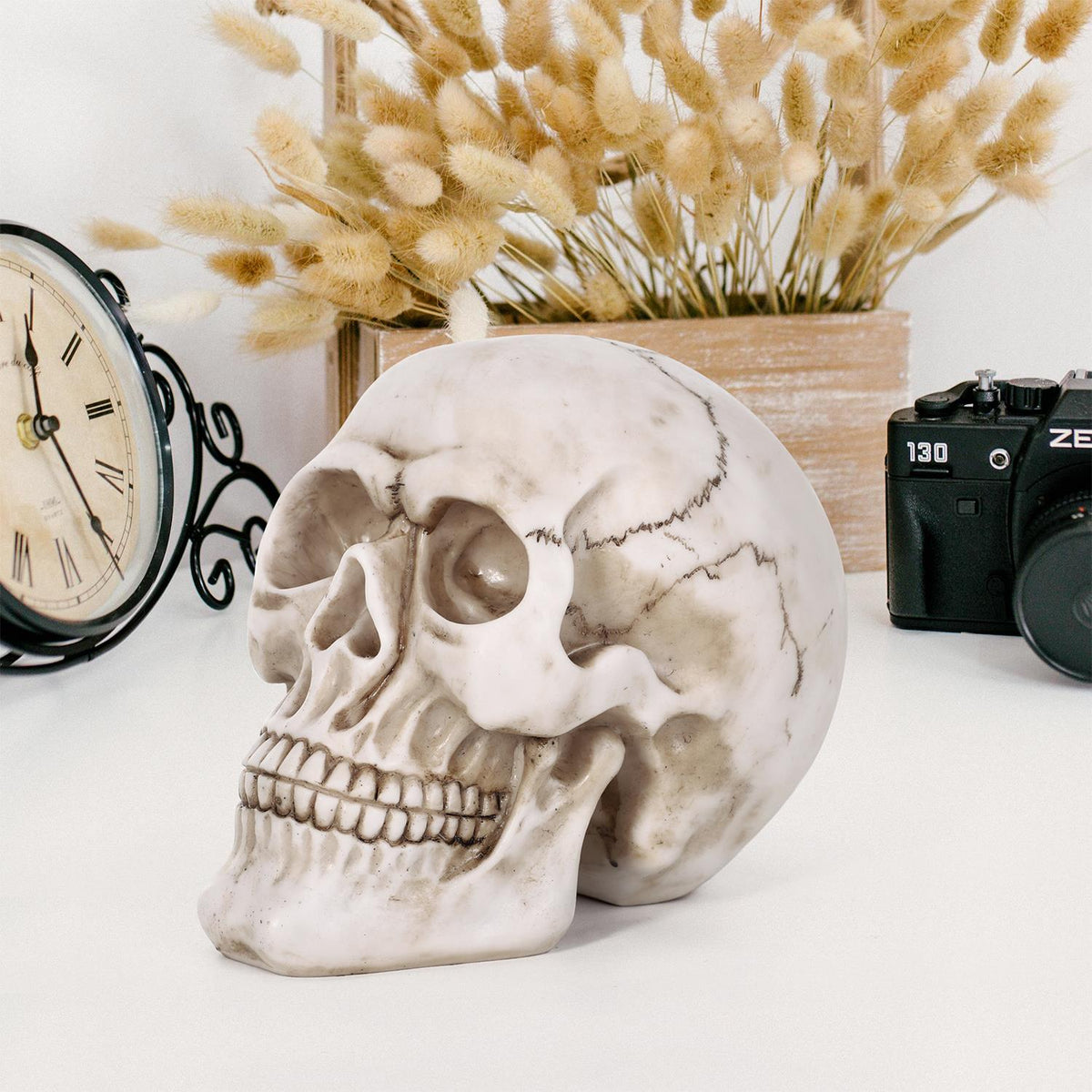 Vinsani Life-Size Resin Halloween Skull Replica, 20 x 15 x 15cm – Realistic Gothic Decoration and Costume Prop