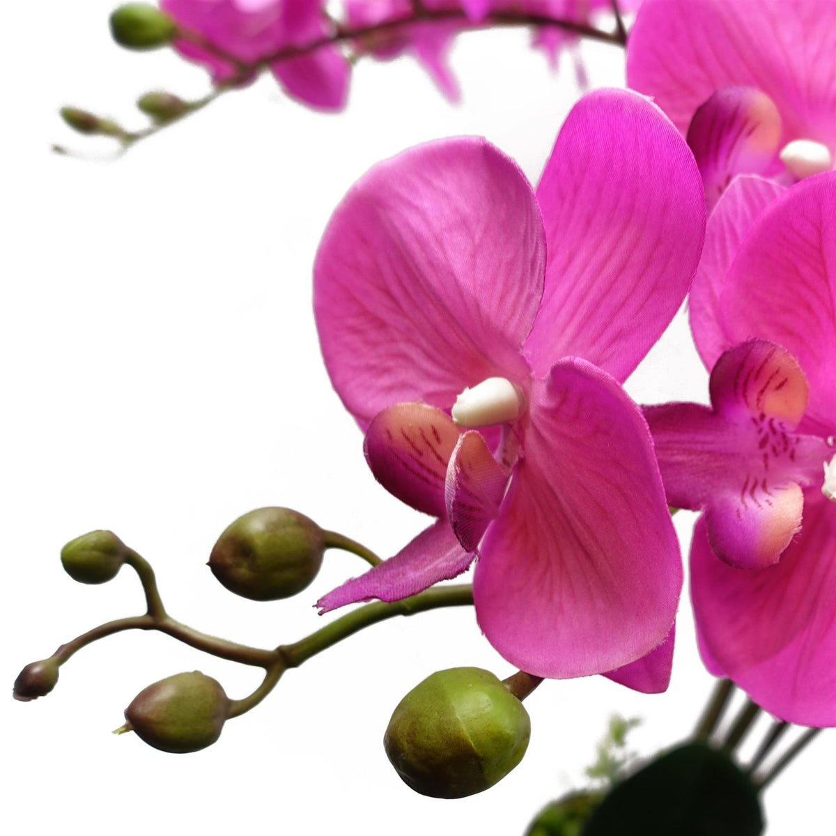 Leaf 85cm Artificial Deluxe Bush Orchid with 56 Flowers – Large Table Decoration, Dark Pink, Black Pot