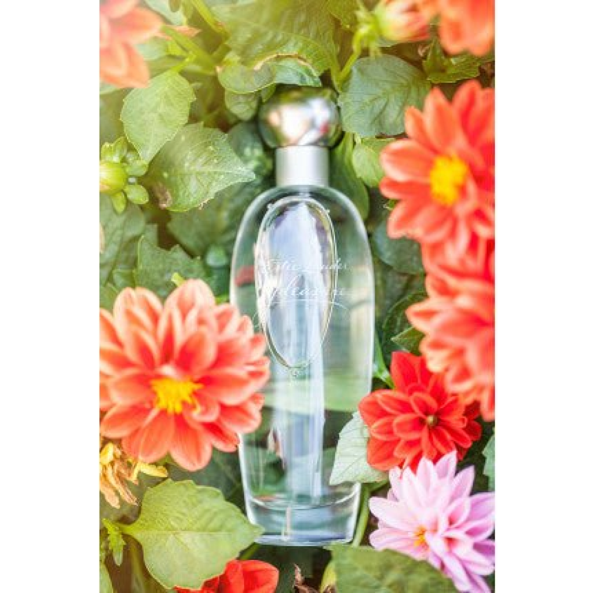 Estee Lauder Pleasures Eau de Parfum Spray 50ml – Floral, Fresh & Citrus Fragrance for Women