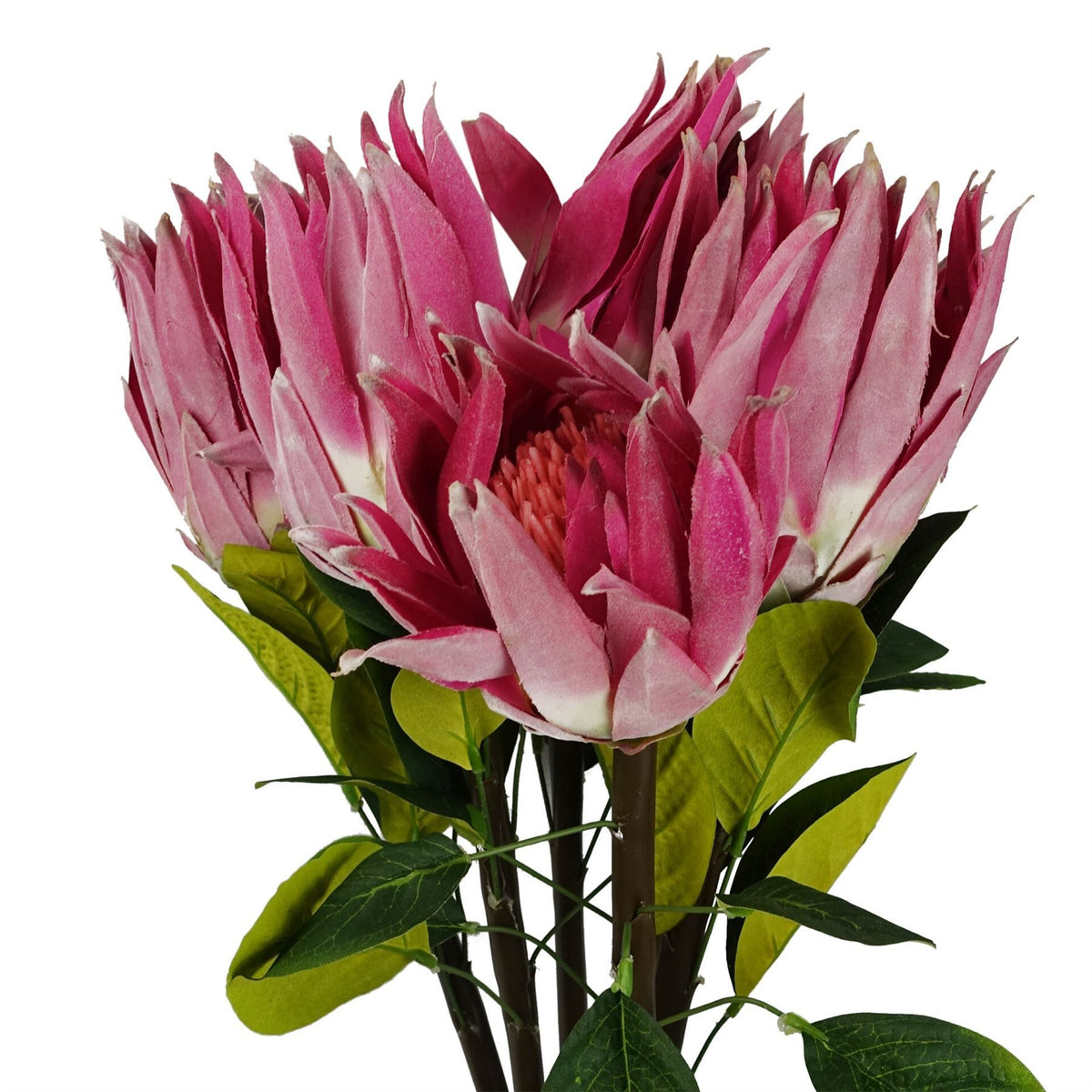 Leaf Protea Sugarbush Artificial Flower Stem with Silk Petals and Wired Stem – 65cm Home Decor, Pink