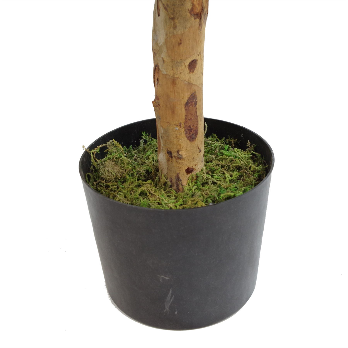 100cm Artificial Dracaena Plant Tree with Pot – Premium Range