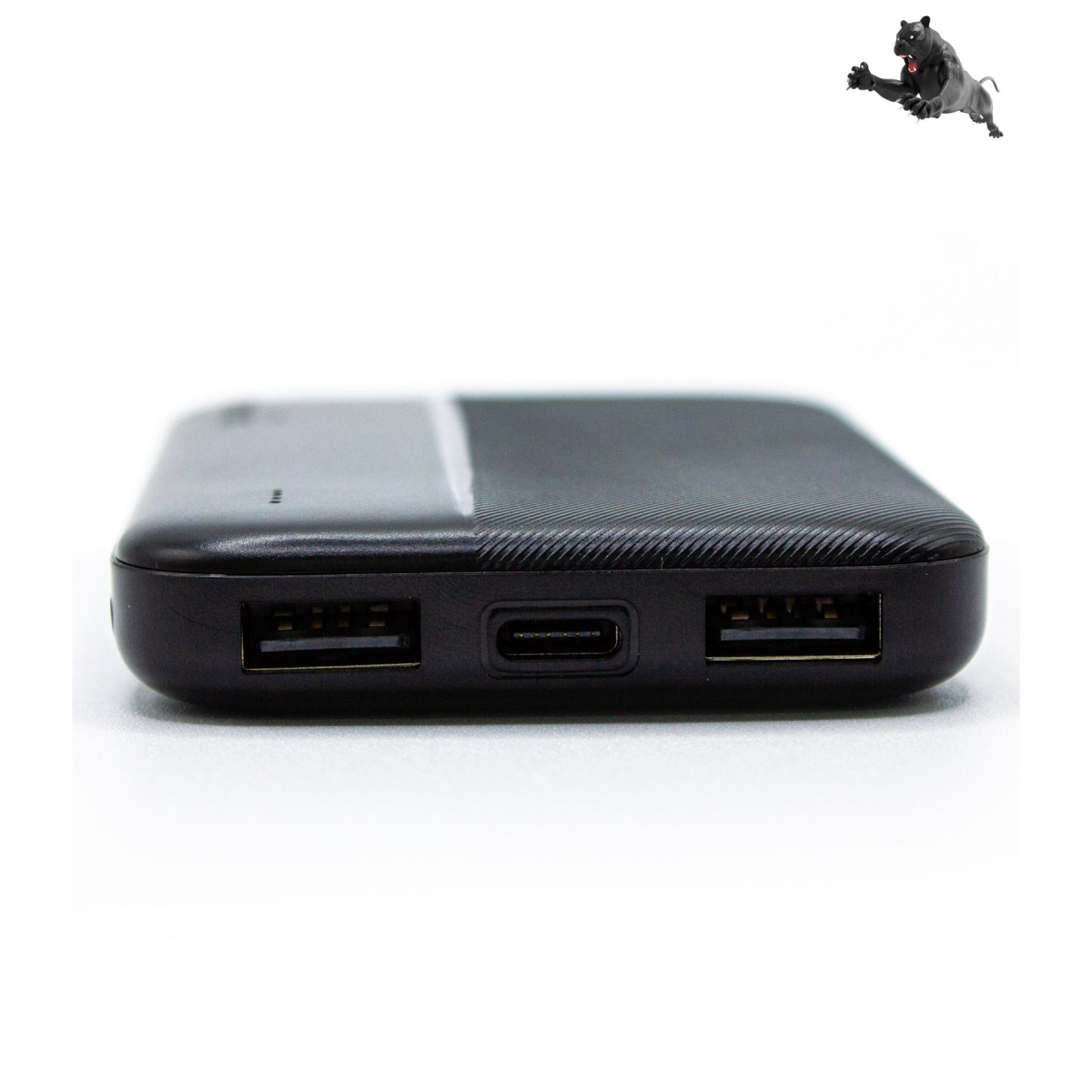 Panther Force 5000mAh Power Bank with 2 USB Outlets, LED Indicator & USB-C Input – PF85 Portable Charger
