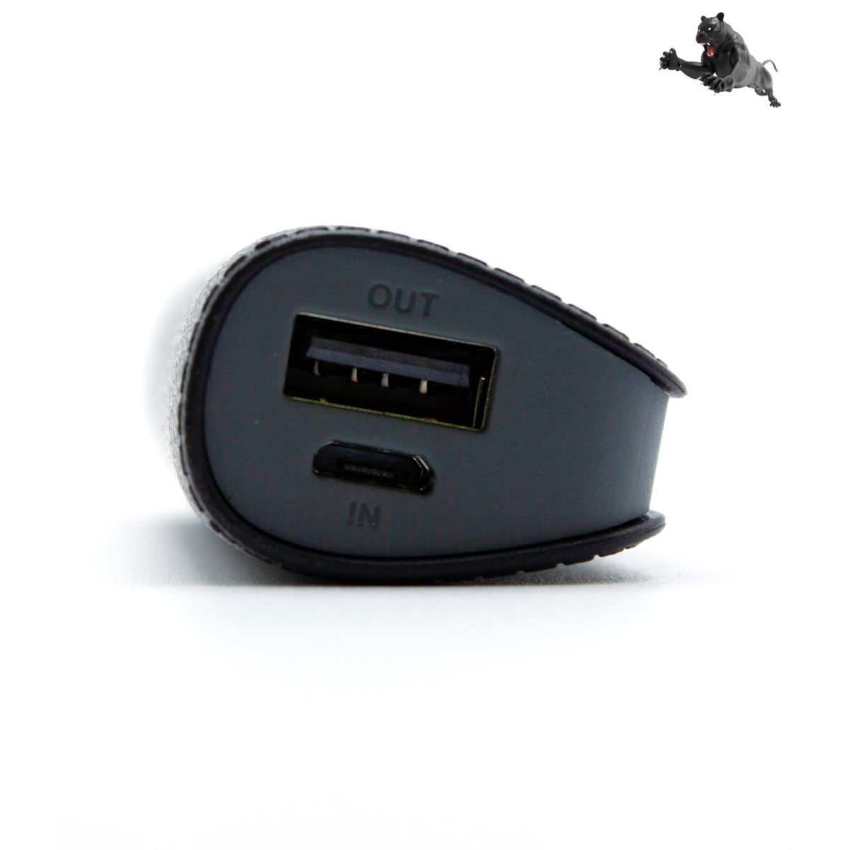 Panther Force 2600 Mini Power Bank PF90 with 2 USB Outlets, Micro & USB-C Input – Portable Charger for iPhone & Android