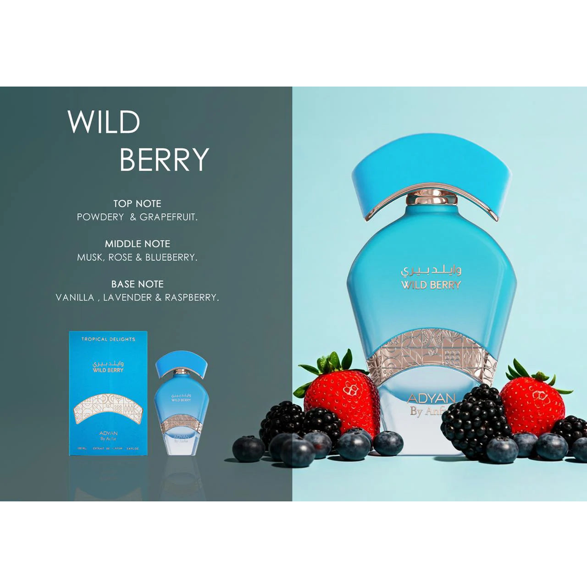 Adyan Wild Berry Fragrance – Fruity Powdery Scent with Blueberry, Rose & Vanilla
