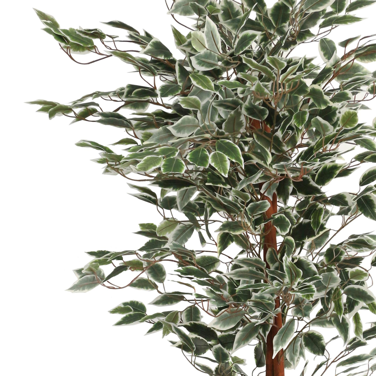 Leaf Artificial Ficus Tree with Natural Variegated Leaves in Pot – Statement Indoor Plant, 160cm