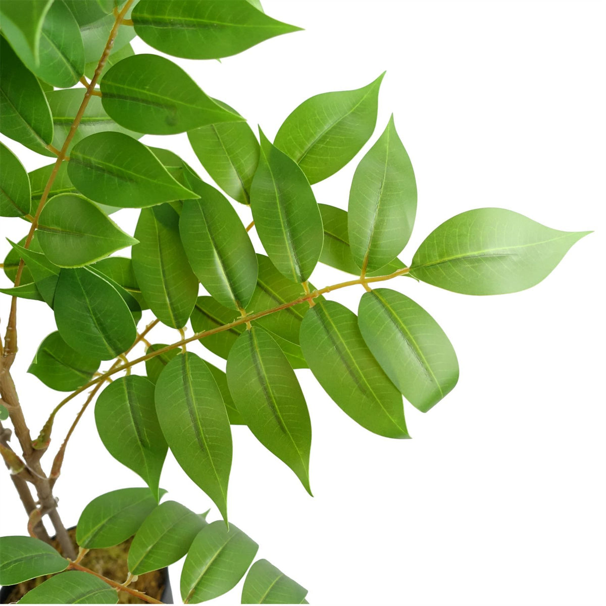 Leaf 110cm Artificial Toona Sinensis Tree – Evergreen Realistic Indoor Plant in Weighted Pot
