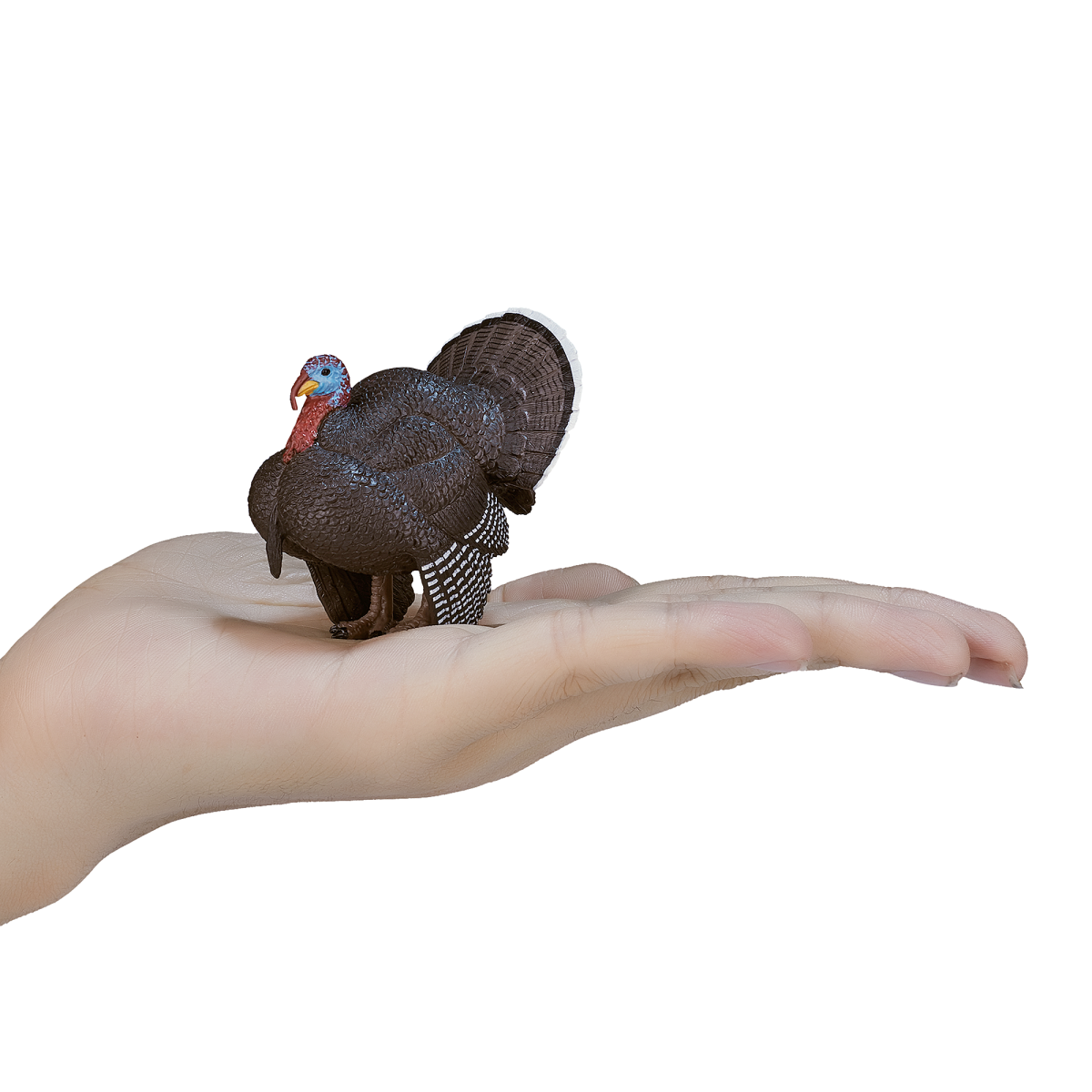 Mojo Male Turkey Figure – Realistic Farmyard Animal Toy