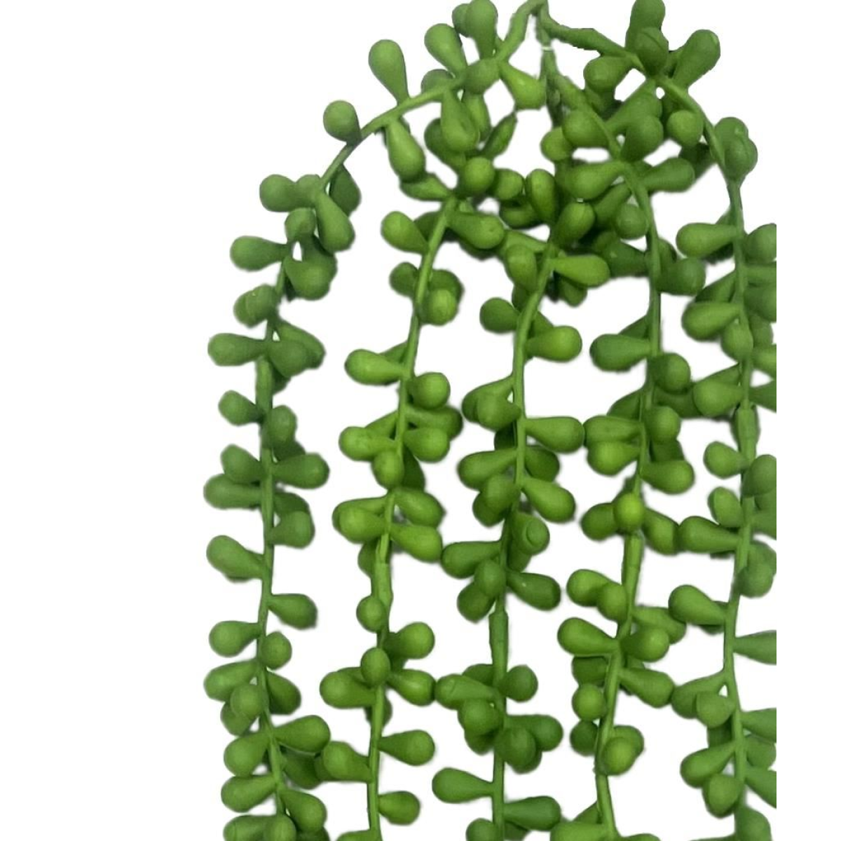 Leaf Artificial String of Hanging Pearls Trailing Foliage, Pack of 6 – Maintenance-Free Hanging Plants, 70cm