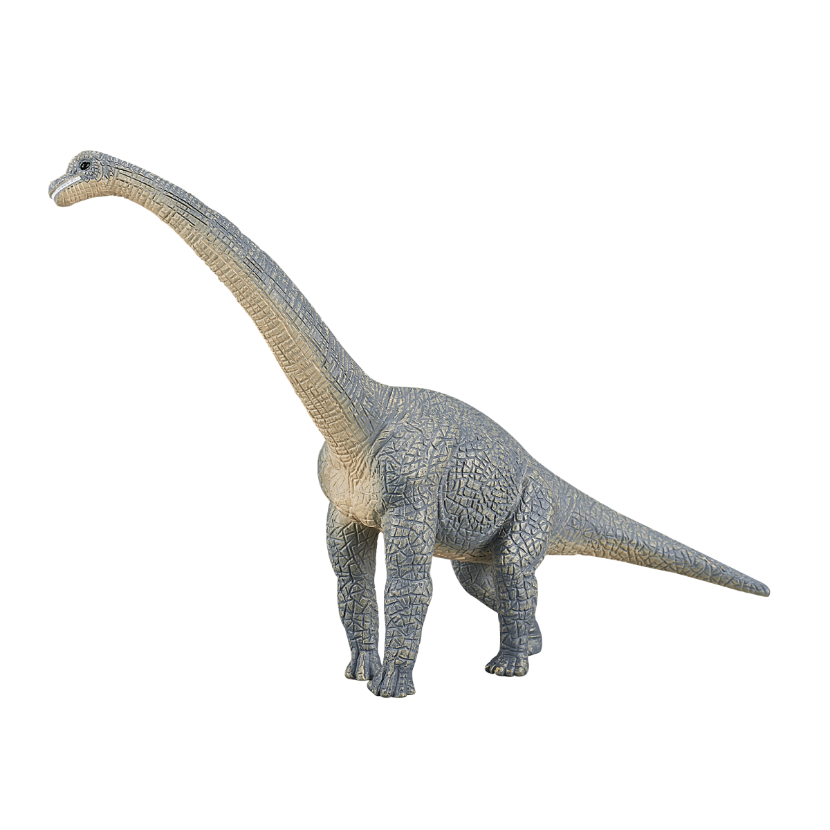 MojoFun Brachiosaurus Dinosaur Toy Figurine – Realistic Prehistoric Model