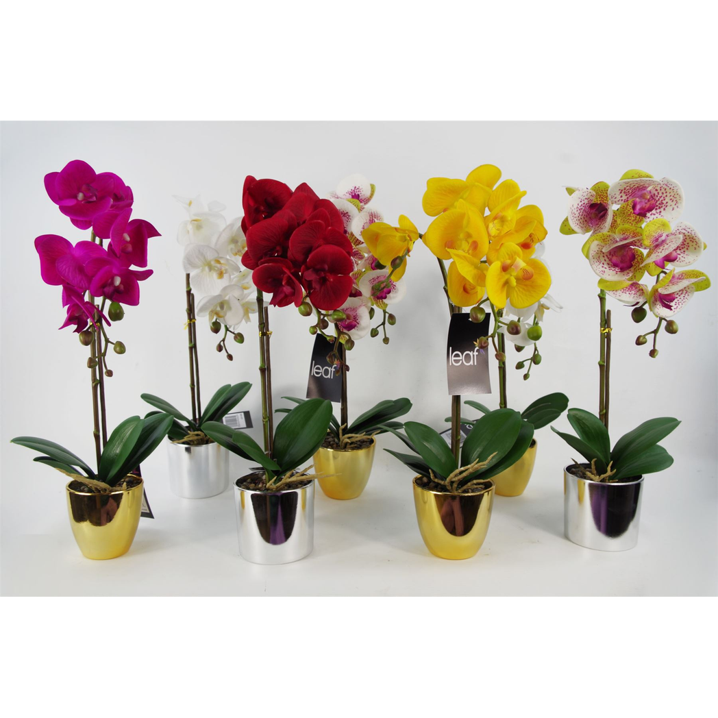 Leaf 46cm Artificial Orchid with 6 Real Touch Flowers – White in Gold Decorative Pot