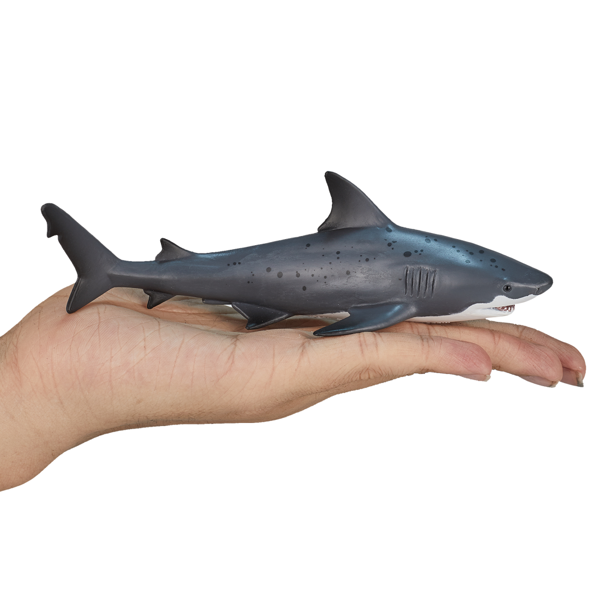 Mojo Bull Shark Figurine – Realistic Ocean Predator Toy Model