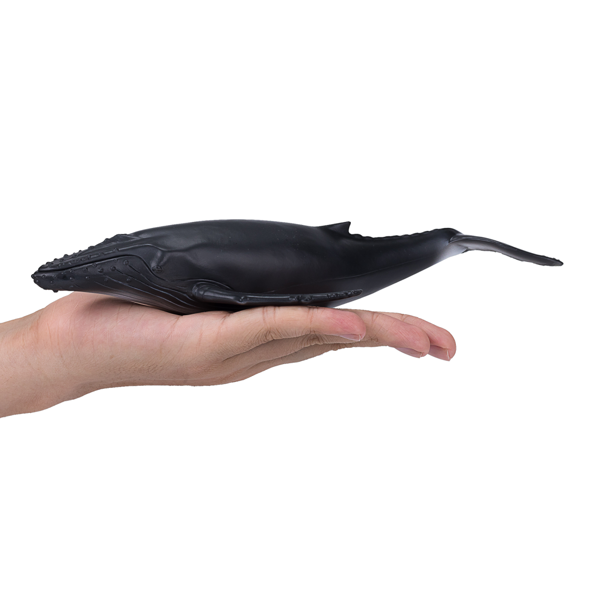 Mojo Humpback Whale Figurine – Realistic Ocean Mammal Toy