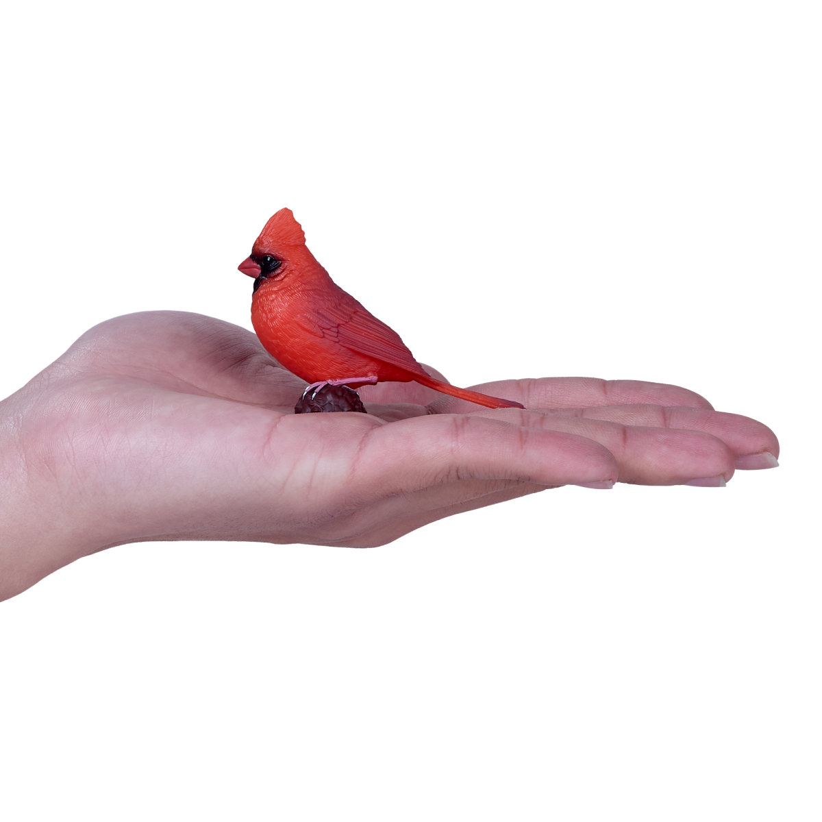 Mojo American Red Cardinal Bird Figure – Hand-Painted Enthusiast Collection