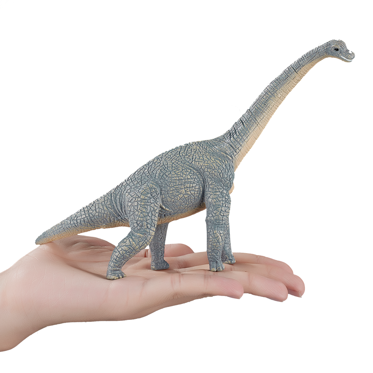 MojoFun Brachiosaurus Dinosaur Toy Figurine – Realistic Prehistoric Model
