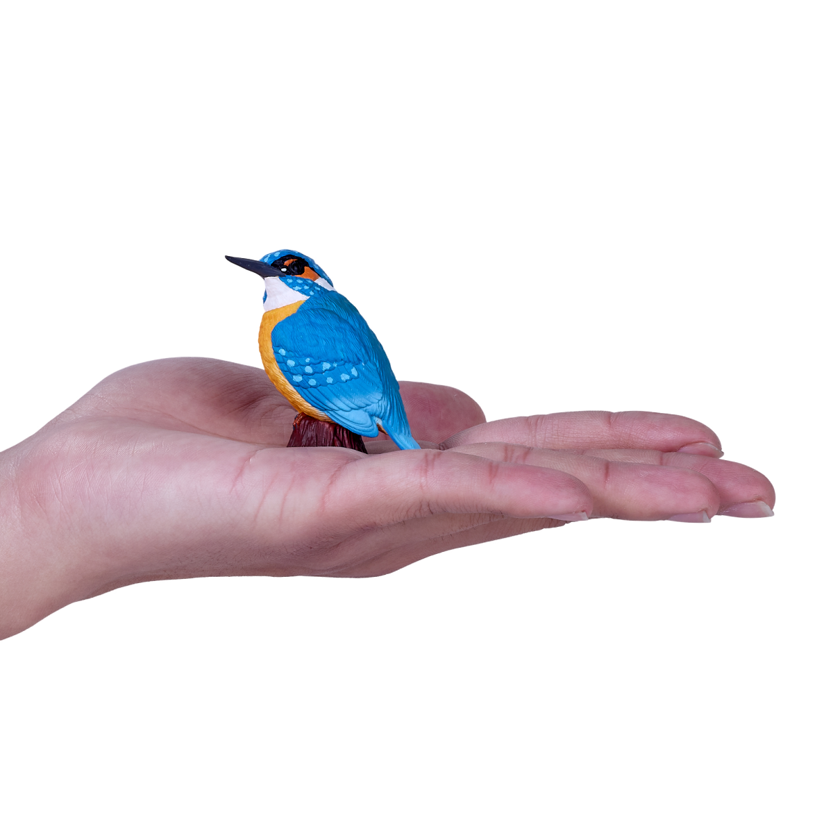 Mojo Common Kingfisher Figurine – Hand-Painted Realistic Bird Model, Enthusiast Collection