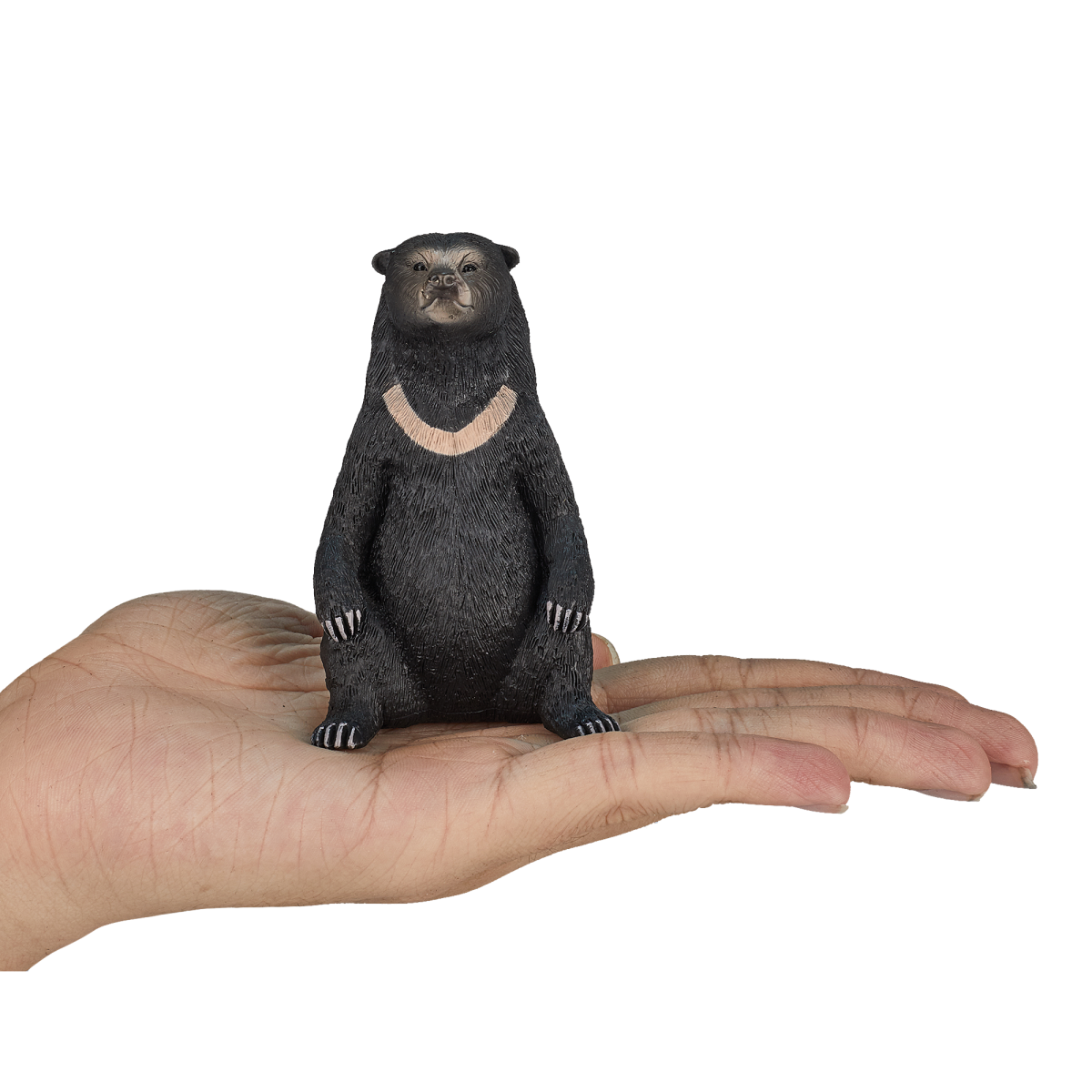 Mojo Sun Bear Figurine – Realistic Wildlife Animal Toy