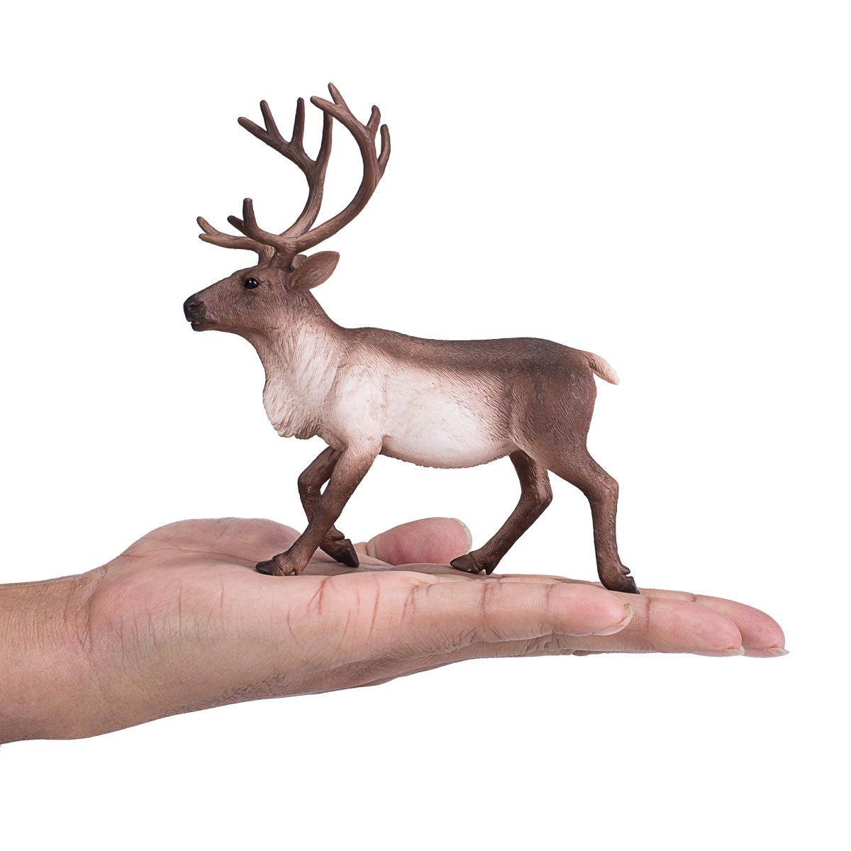 Mojo Reindeer Figure – Realistic Arctic Wildlife Toy