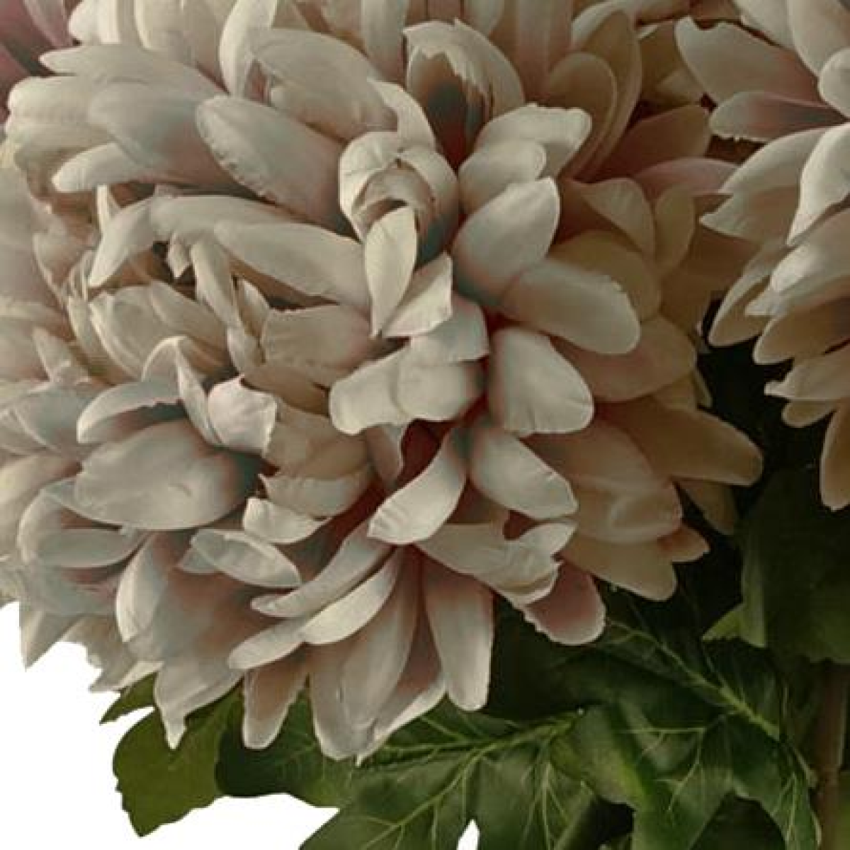 Leaf Extra Large Artificial Reflex Chrysanthemum Stems, Pack of 6 – Silk Petals, 75cm, Mushroom