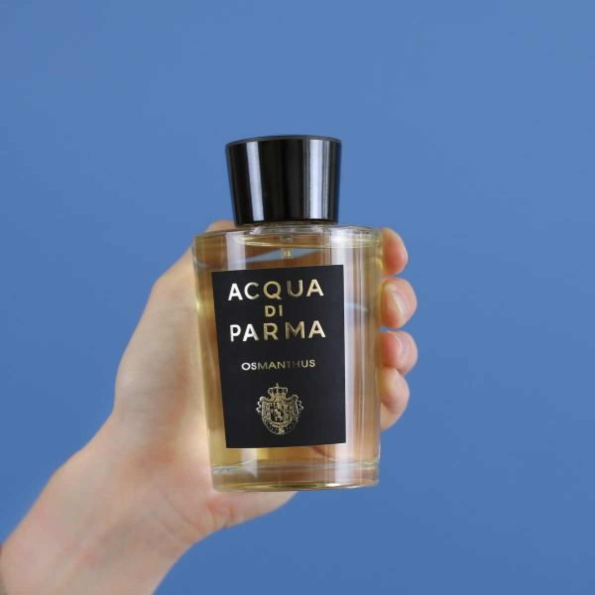 Acqua Di Parma Osmanthus Hair Mist 50ml – Alcohol-Free Floral Fragrance Mist for Radiant Hair