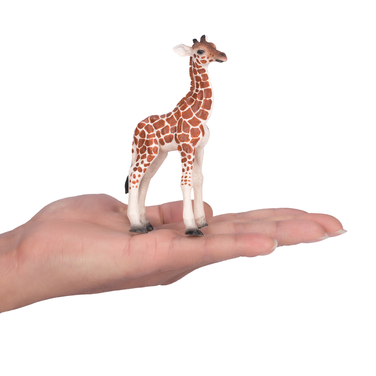 Mojo Giraffe Calf Figurine – Realistic African Wildlife Toy