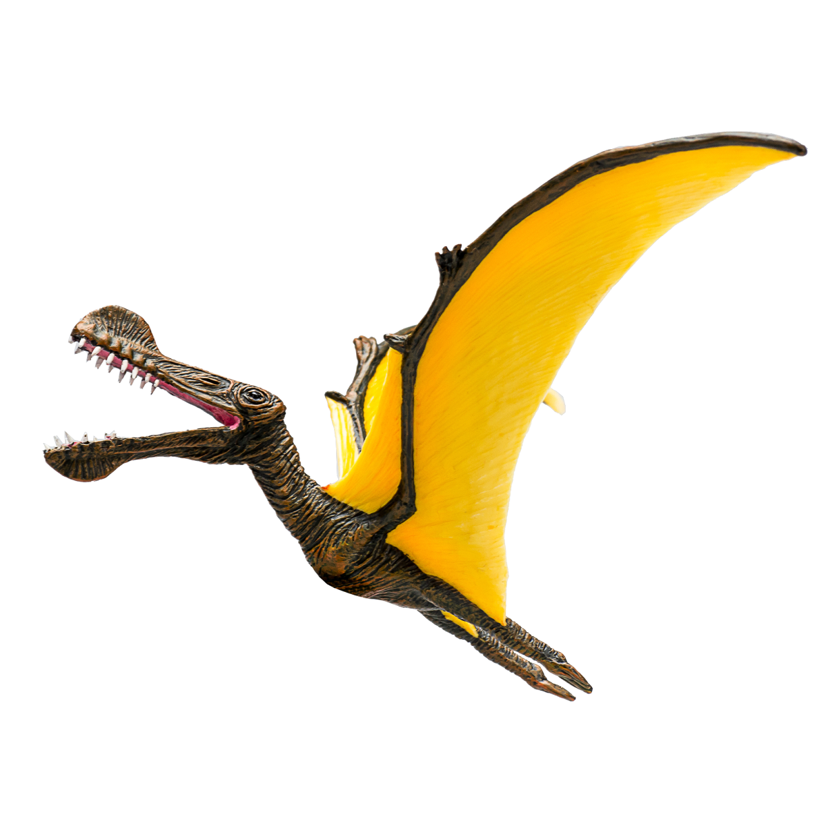 Mojo Fun Tropeognathus Pterosaur Toy – Realistic Prehistoric Figure