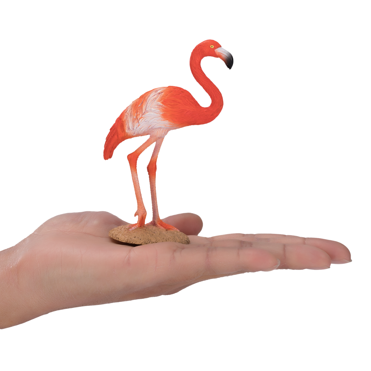 MojoFun American Flamingo Toy Figurine – Realistic Exotic Bird Model