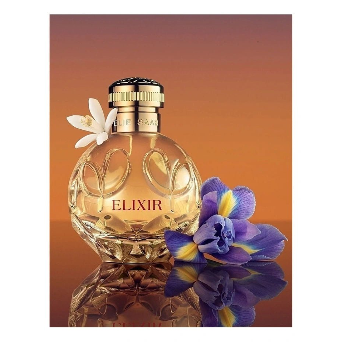Elie Saab Elixir Eau de Parfum Spray 30ml β Amber & Oriental, Floral Fragrance for Women
